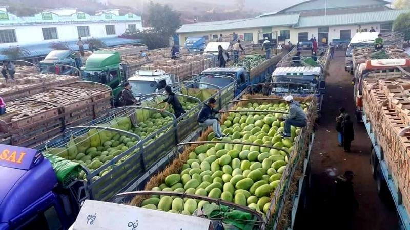 Далоили амалӣ нашудани барномаи рушди содироти Тоҷикистон