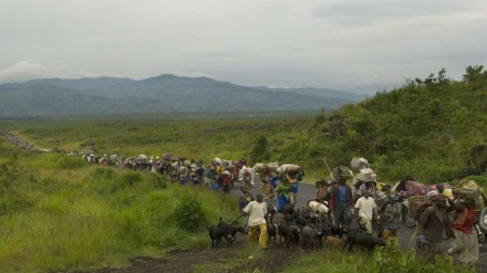Wakimbizi 12,000 kutoka DRC waingia Zambia, UNHCR haina fedha za kuwashguhulikia