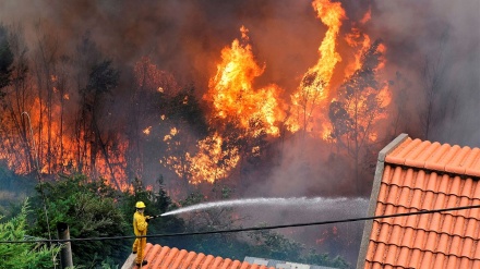 Bombeiros dizem que faltam meios aéreos na Madeira por opção política