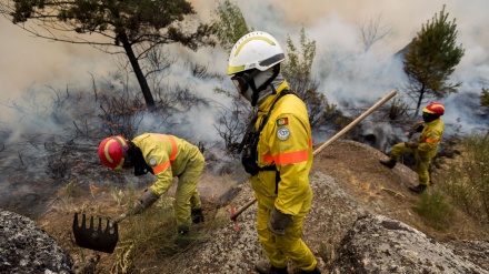 Portugal: Quase 90 bombeiros combatem fogo em Gondomar
