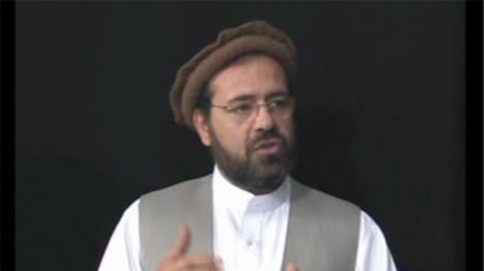 د افغانستان د  حزب اسلامی  غړی  سلاکار وټاکل شو 