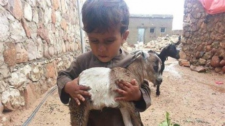 Dimensi Baru Kejahatan Saudi di Yaman