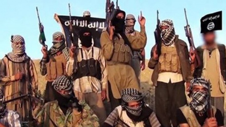 L'armée égyptienne annonce avoir éliminé le chef de Daesh dans le Sinaï 