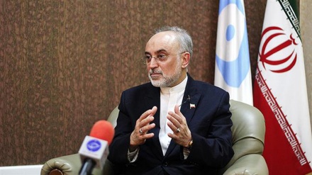 Iran vows tough reaction if JCPOA violated: Salehi