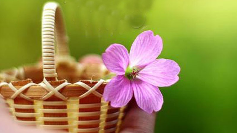 神の公正さ（２）