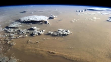 イラン人研究者、人工の葉を利用し、二酸化炭素から燃料を生産