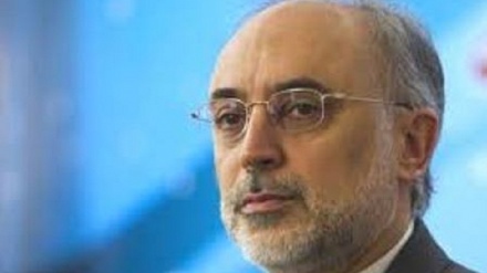 ראש סוכנות הגרעין האירנית יצא לבריסל