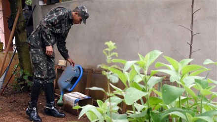 Thailand to enforce law to eliminate Zika breeding spots