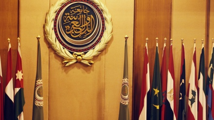 阿盟抗议没有受邀参加巴黎会议