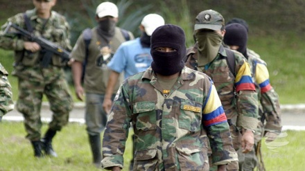 Farc podem se tornar partido político