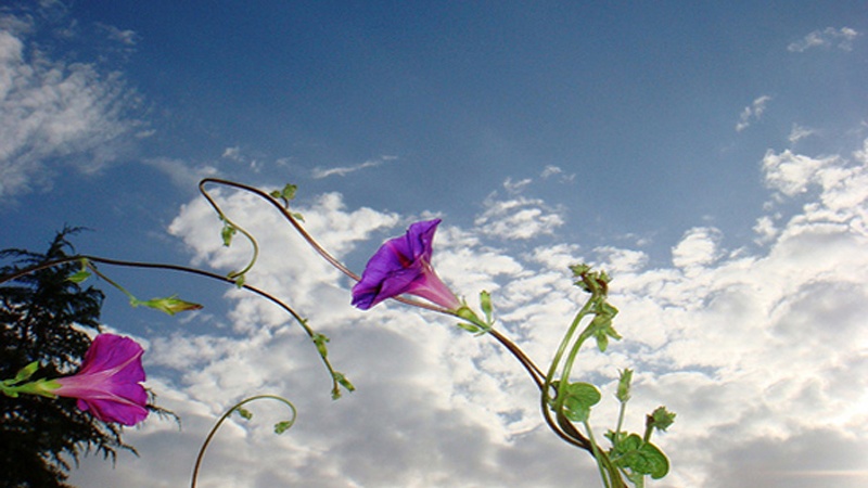 神の公正（３）