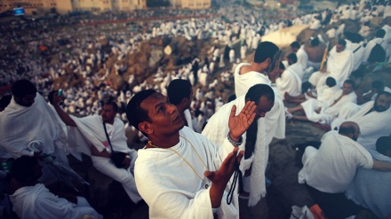 Pèlerinage du mont Arafat 2016 