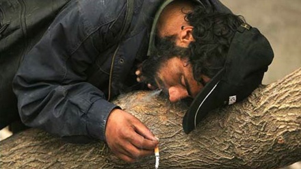 وزارت صحت عامه ادعا کرد: 25 هزار معتاد در افغانستان درمان شدند