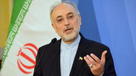 Badan Energi Nuklir Iran Siap Jika AS Tinggalkan JCPOA