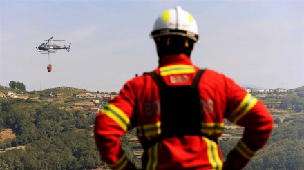 Portugal: 80 bombeiros combatem incêndio em Valongo