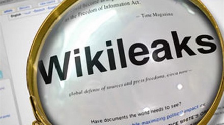 WikiLeaks, procura svedese: Decisione su ricorso Assange annunciata venerdì 9 settembre