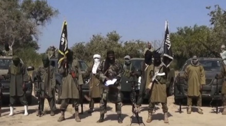 Vijana kadhaa wa Chad warejea nchini kutoka katika kambi za Boko Haram