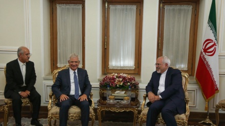 Zarif, confere com o parlamentar sênior Francês