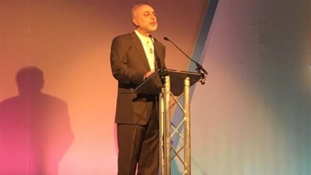 Iran keen to have nuclear interaction with regional states: Salehi 