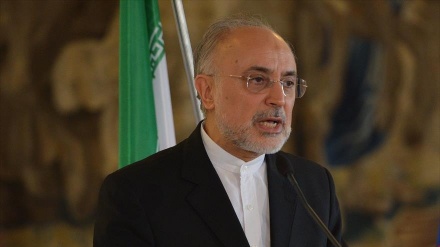 Salehi: Karibuni dawamiale zinazotengezwa nchini zitauzwa kwa wingi nje ya nchi