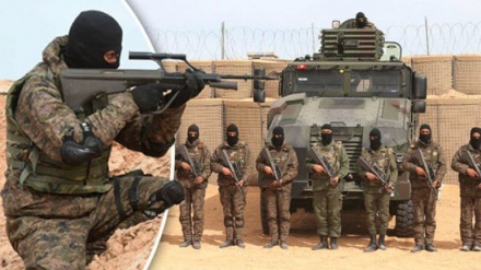 Daruruwan Yan Ta'adda Yan Tunisiya Daga Kasashen Siriya Da Iraqi Sun Koma Gida