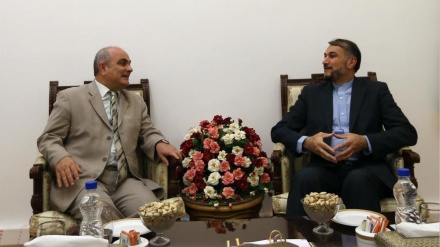 Emir Abdullahiyan: İran bölgede sebat ve güvenlik istiyor 