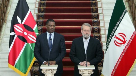 Iran, Kenya stances on terror fight very close: Larijani
