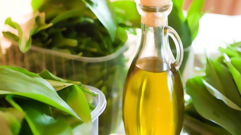 Bien utiliser l’huile de ricin