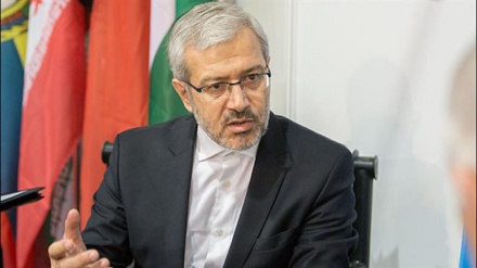 Calls emerge in Iran to join oil freeze plan