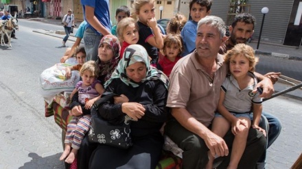 Depuis le 18 mars, plus de 630 000 personnes ont été déplacées à Gaza