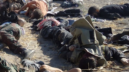 हलब में सेना की कार्यवाही में अनेक आतंकी ढेर