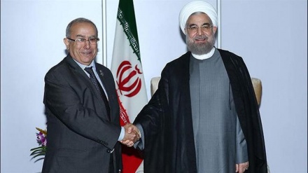 Oil meet must ensure all sides’ interests: Iran