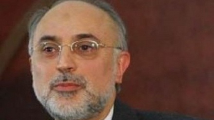 סאלחי: השיחות עם קרינקו ומוניז היו חיוביות