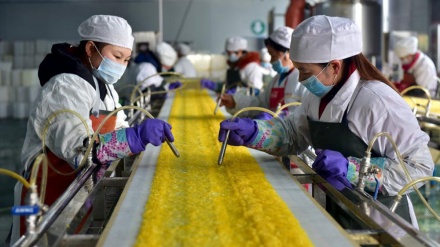  افتتاح بزرگترین کارخانه تولید داروهای ضدسرطان غرب آسیا در کرج