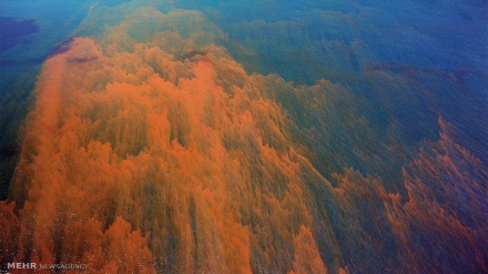 I primi continenti emersi più di tre miliardi di anni fa