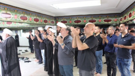 Caminhada de Ashura no Brasil