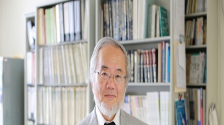 Prémio Nobel da Medicina para o japonês Yoshinori Ohsumi