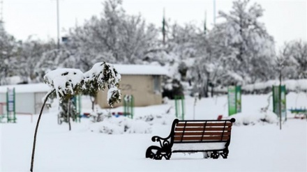 フォトギャラリー；イラン北西部アルデビールに秋の初雪