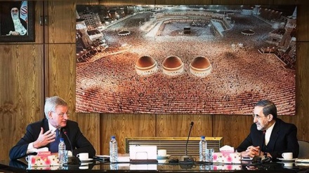 Iran not directly involved in any foreign military operation: Velayati