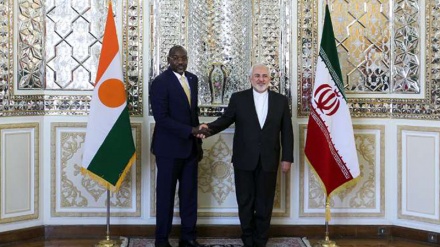 Нигер елінің Сыртқы істер министрі Теһранда Иран Сыртқы істер министрімен кездесті