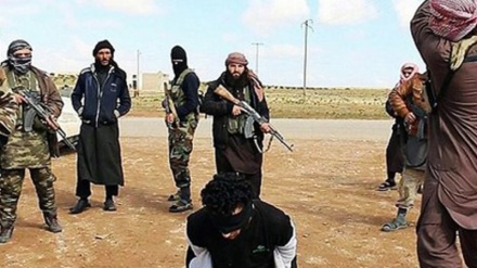 Teroris Daesh Eksekusi Mati Sejumlah Komandannya