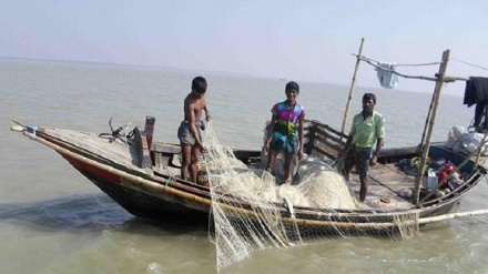 ভরা মৌসুমে ইলিশের চড়া দামে ক্ষুদ্ধ ক্রেতারা; ব্যবসায়িক সিন্ডিকেশনের অভিযোগ  