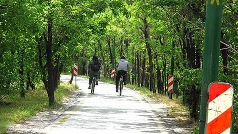 チートギャル公園