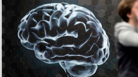 Al cervello 'piacciono' le bugie, impara a dirle in fretta