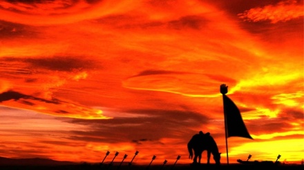 Tragic Aftermath of the Tragedy of Karbala