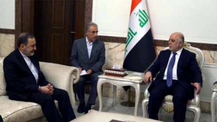 İbadi ve Velayeti Irak gelişmelerini ele aldılar