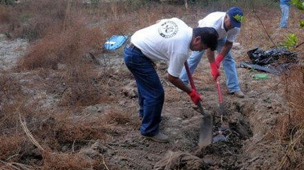 墨西哥发现万人坑