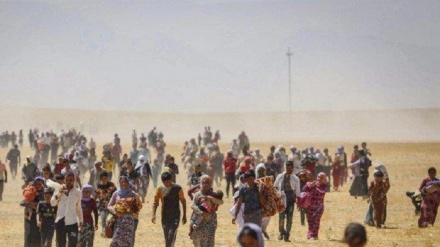 Vriten qindra terroristë nga fillimi i operacioneve në Mosul