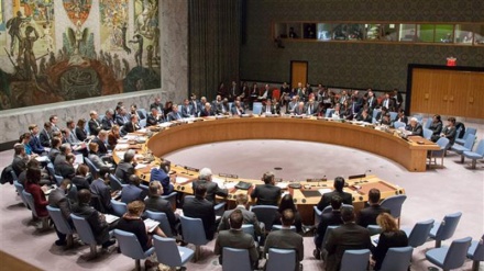 UNSC forum raps illegal Israeli settlement expansion in occupied Palestine