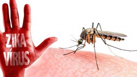 Virus Zika in Messico, grave caso malformazione